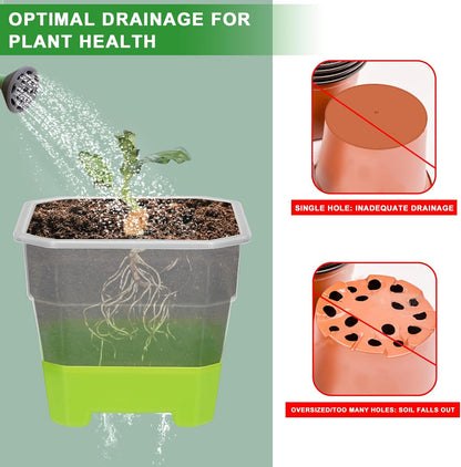 12 Pcs Reusable Green Seedling Starter Pots - Mini Succulent Planters for Seed Germination V1258-DP02-BOL-705