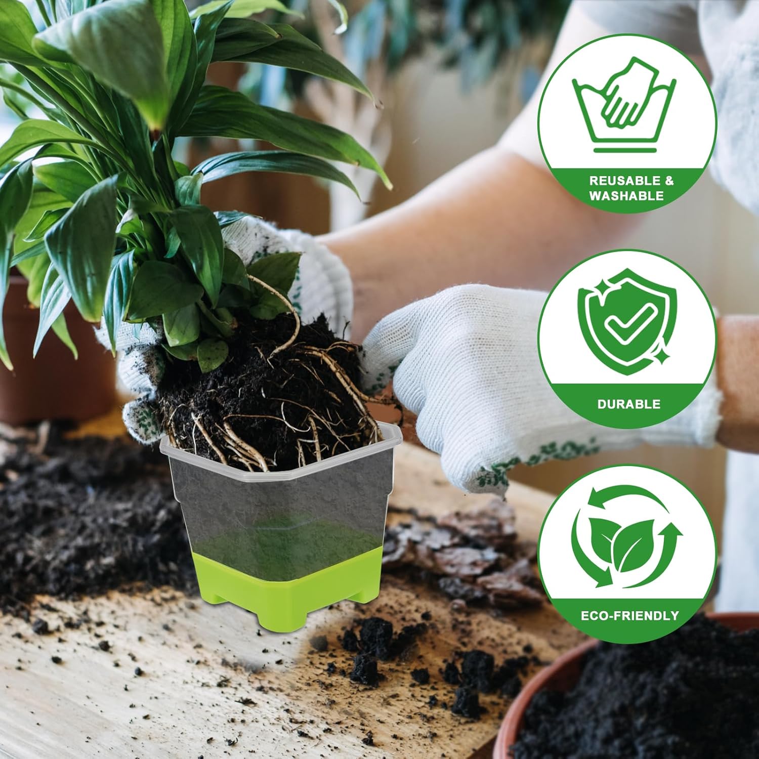 12 Pcs Reusable Green Seedling Starter Pots - Mini Succulent Planters for Seed Germination V1258-DP02-BOL-705