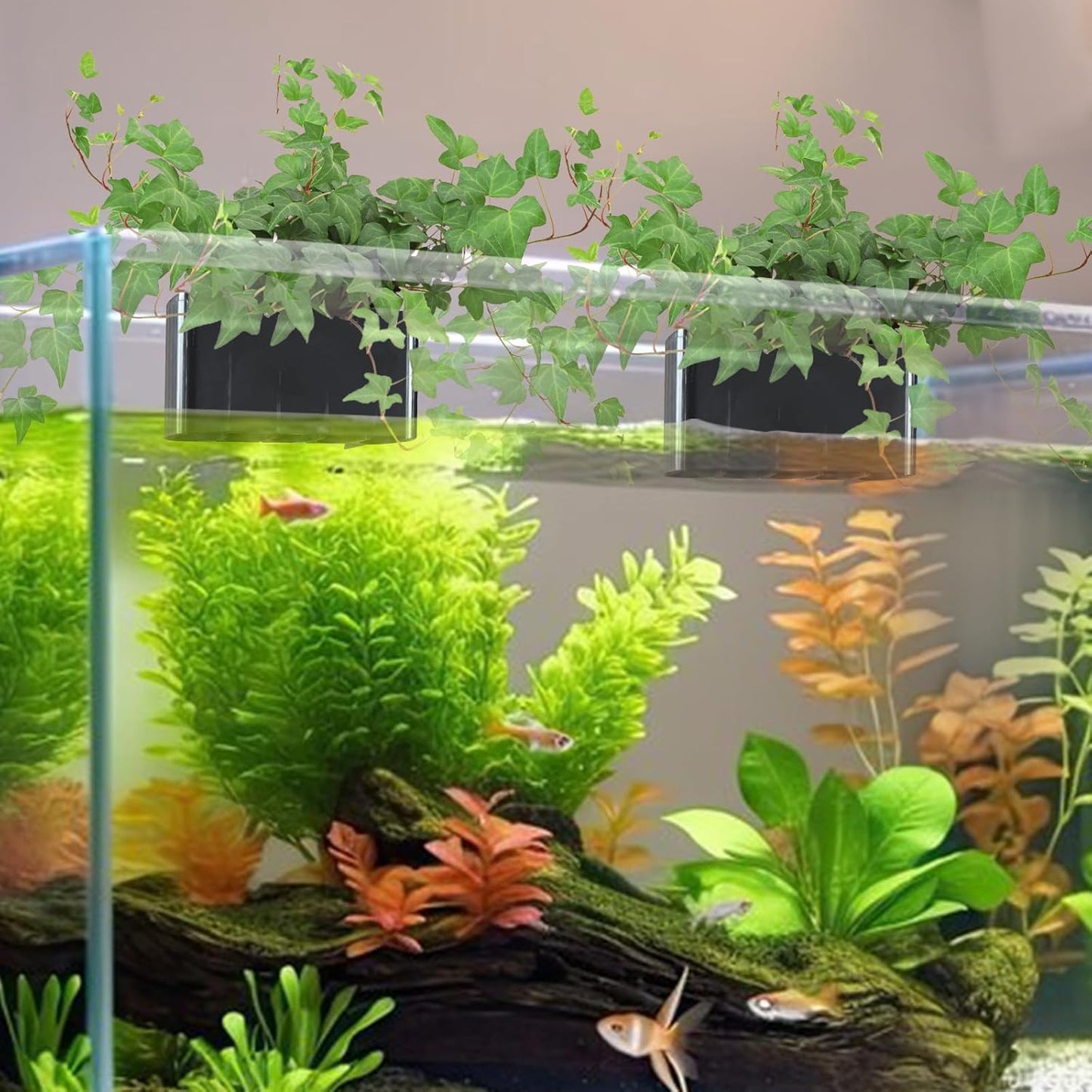 Hydroponic Aquarium Plant Holder 2 Pack Black 9x9x6cm for Aquascape Plant Cultivation V1258-DP02-BOL-716