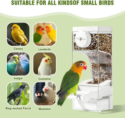 Automatic Bird Feeder for Parakeets, Cockatiels & Canaries with Convenient Seed Catcher Tray Yellow V1258-DP02-BOL-730