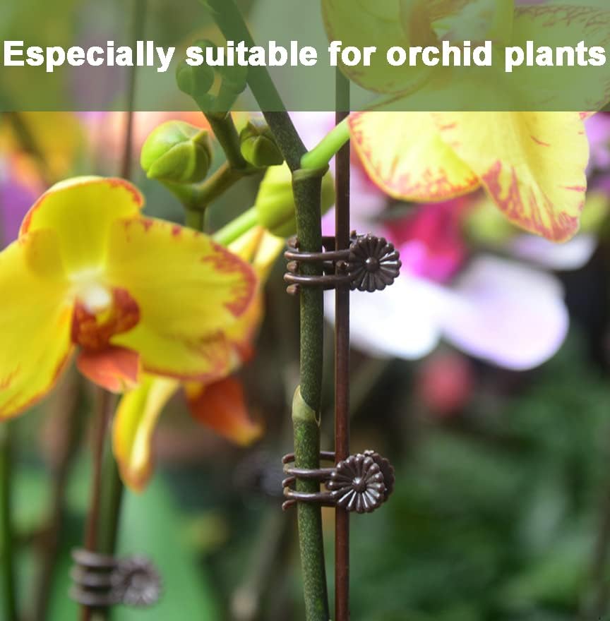 40 Reusable Plant Support Clips - Garden Tool for Supporting and Guiding Plants and Flowers V1258-DP02-BOL-763