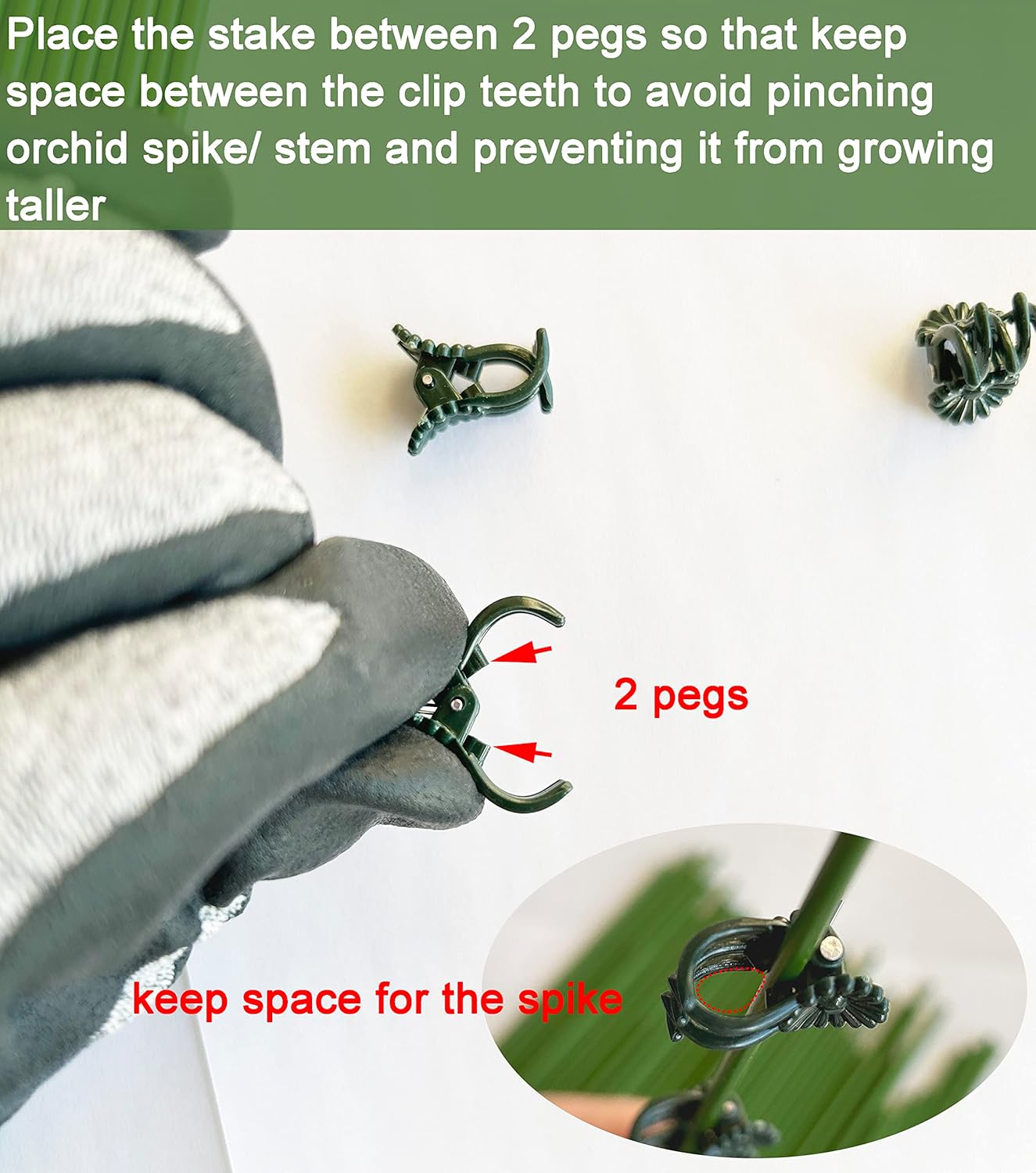 40 Reusable Plant Support Clips - Garden Tool for Supporting and Guiding Plants and Flowers V1258-DP02-BOL-763