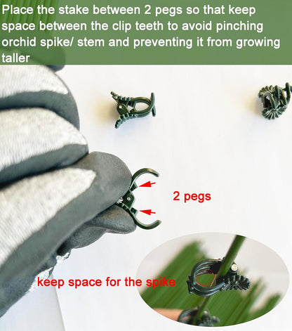 40 Reusable Plant Support Clips - Garden Tool for Supporting and Guiding Plants and Flowers V1258-DP02-BOL-763