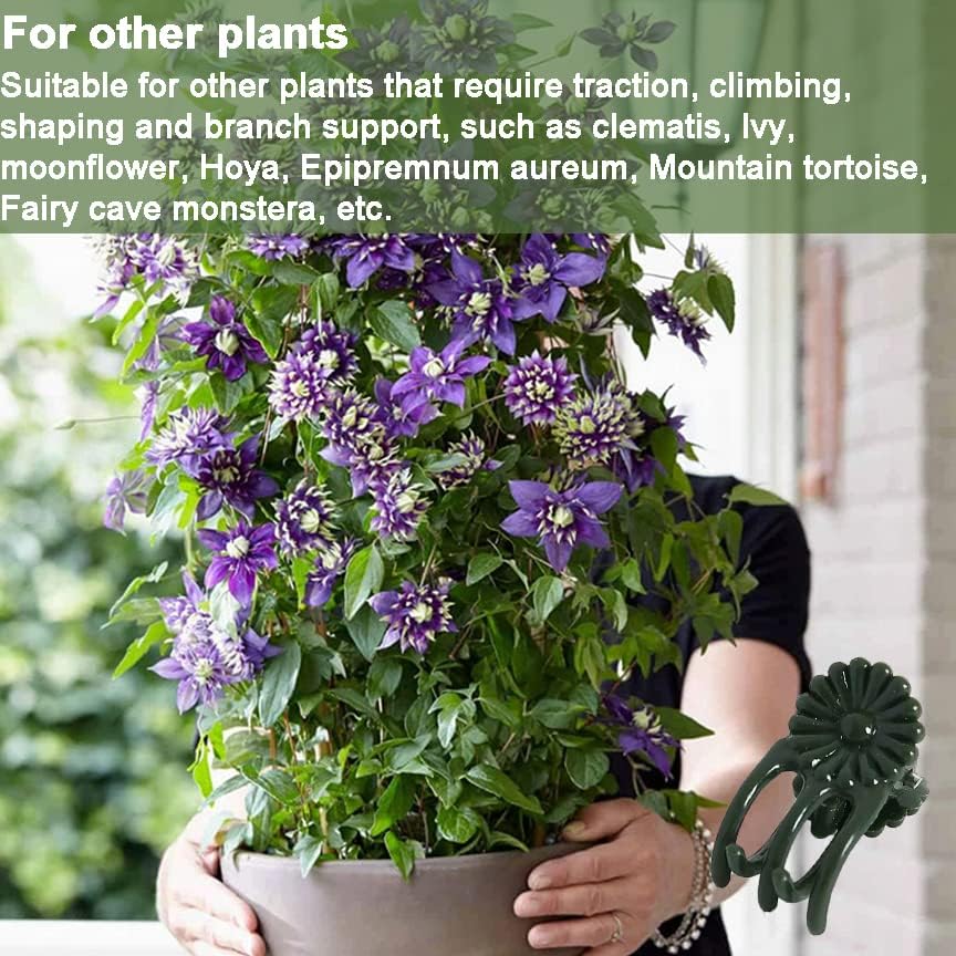 40 Reusable Plant Support Clips - Garden Tool for Supporting and Guiding Plants and Flowers V1258-DP02-BOL-763