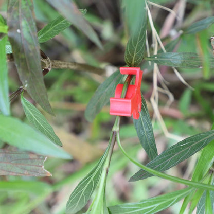 40 Pcs 90 Degree Plant Trainers Reusable Support Clips for Tomatoes Fruit Trees Greenhouse Use Red V1258-DP02-BOL-764