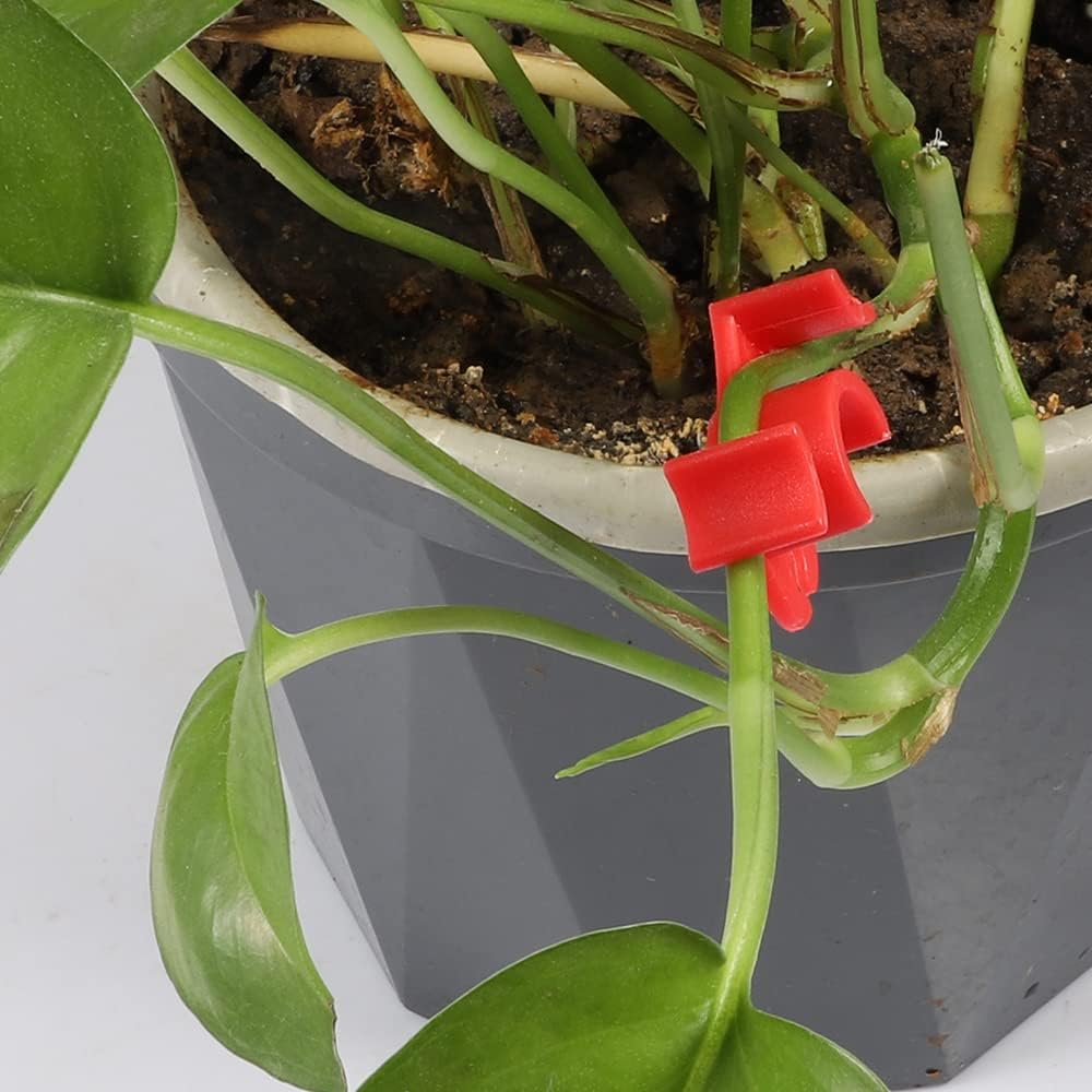 40 Pcs 90 Degree Plant Trainers Reusable Support Clips for Tomatoes Fruit Trees Greenhouse Use Red V1258-DP02-BOL-764
