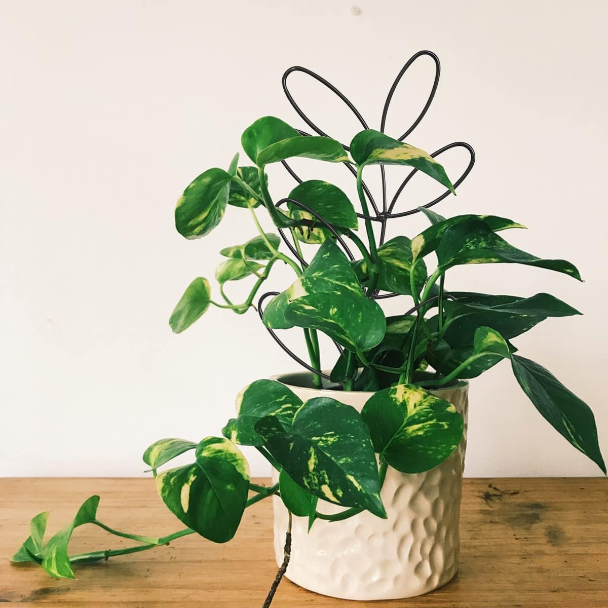 Plant Support Metal Leaf Shaped Plant Climbing Trellis 32x13 cm 2 Pack for Potted Plants V1258-DP02-BOL-788