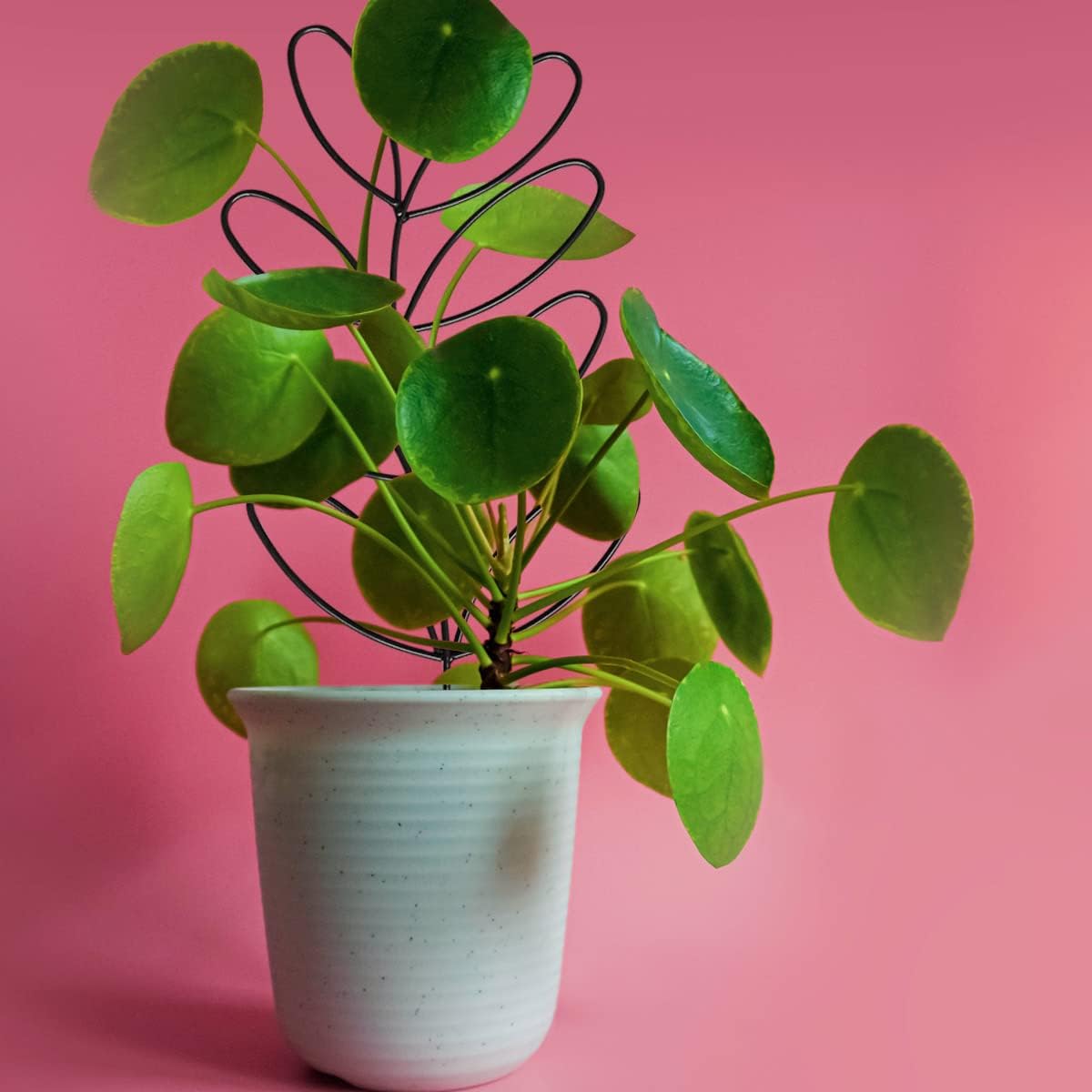 Plant Support Metal Leaf Shaped Plant Climbing Trellis 32x13 cm 2 Pack for Potted Plants V1258-DP02-BOL-788