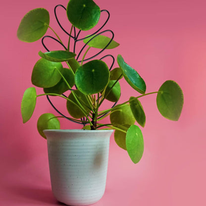 Plant Support Metal Leaf Shaped Plant Climbing Trellis 32x13 cm 2 Pack for Potted Plants V1258-DP02-BOL-788