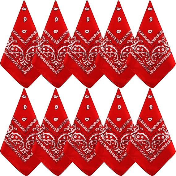 10 Pack Red Paisley Bandanas 55x55cm Polyester Headband Scarf Tie Accessories V1258-DP02-BOL-790