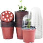 25 Pack Seedling Pots with Lids 9x14cm Reusable Mini Greenhouse Grow Trays for Propagation V1258-DP02-BOL-805