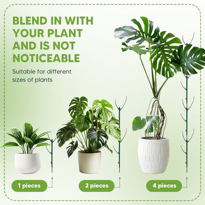 10 Pack Stackable Plant Support Stakes for Monstera - Includes 20m Binding Wire & Velcro - Climbing Plant V1258-DP02-BOL-806