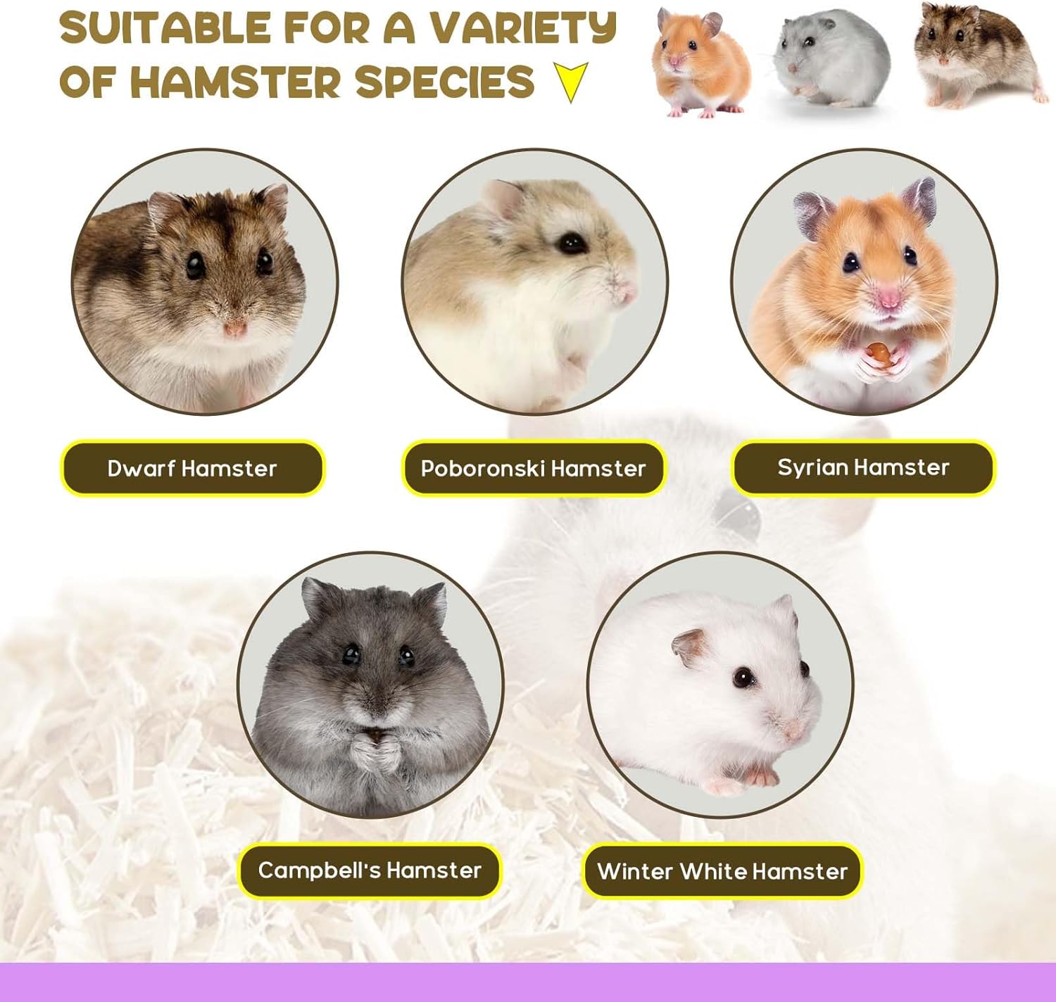 Hamster Hideout Climbing Ladder and Tunnel for Burying in Bedding or Connecting with Accessories V1258-DP02-C-1034