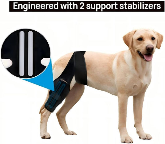Dog Knee Brace for Torn ACL Hind Leg, Comfortable and Adjustable Support Brace with Two Stabilizer, Dog Leg V1258-DP02-C-1130