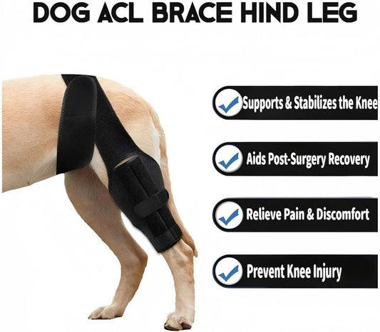 Dog Knee Brace for Torn ACL Hind Leg, Comfortable and Adjustable Support Brace with Two Stabilizer, Dog Leg V1258-DP02-C-1130