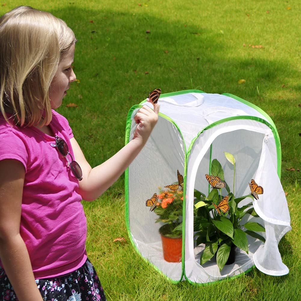 Insect and Butterfly Habitat Cage Terrarium Pop-up 23.6 Inches Tall V1258-DP02-C-1435
