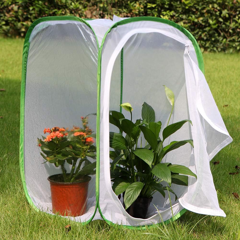 Insect and Butterfly Habitat Cage Terrarium Pop-up 23.6 Inches Tall V1258-DP02-C-1435