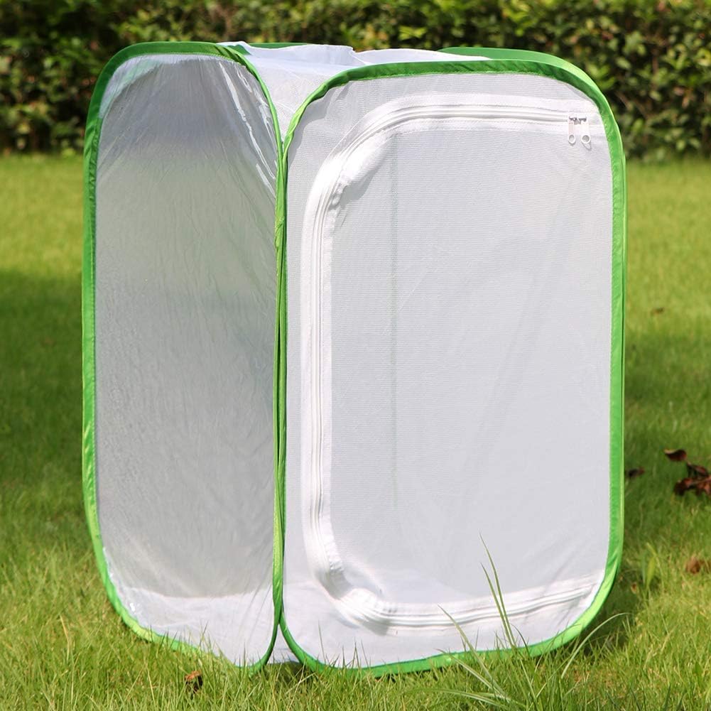 Insect and Butterfly Habitat Cage Terrarium Pop-up 23.6 Inches Tall V1258-DP02-C-1435