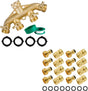 Brass Garden Hose Splitter (4 Way) + Garden Hose Quick Connector V1258-DP02-C-186