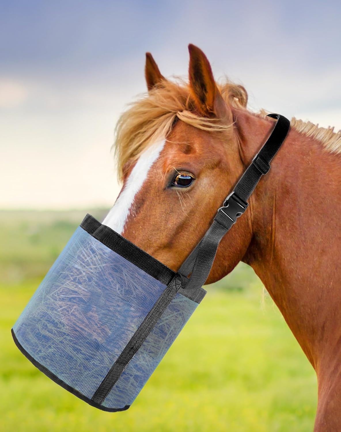 2 Pack Horse Feed Bag for Grain - Durable Mesh Grain Feeder with Adjustable Strap, Comfortable Neck and Nose V1258-DP02-C-2141