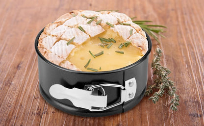 4 Inch Springform Pan Set, Nonstick, Leakproof Mini Cheesecake Pans with Removable Bottom, Carbon and V1258-DP02-C-2146