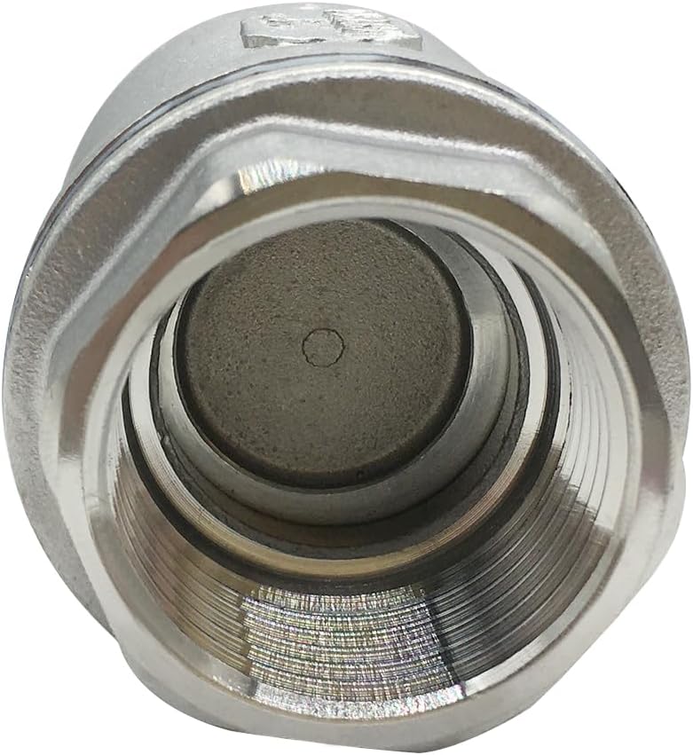 Stainless 1 NPT Threaded Check Valve Non Return One Way Horizontal Vertical Inline Water Spring Check Valve V1258-DP02-C-2579