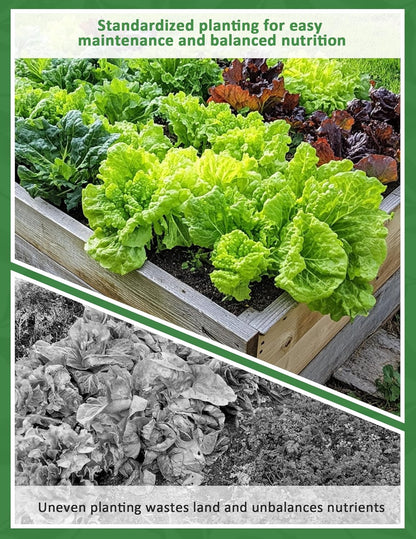Seed Spacer Tool for Square Foot Gardens - Maximize Your Garden Space and minimize Weeds with This Premium V1258-DP02-C-265