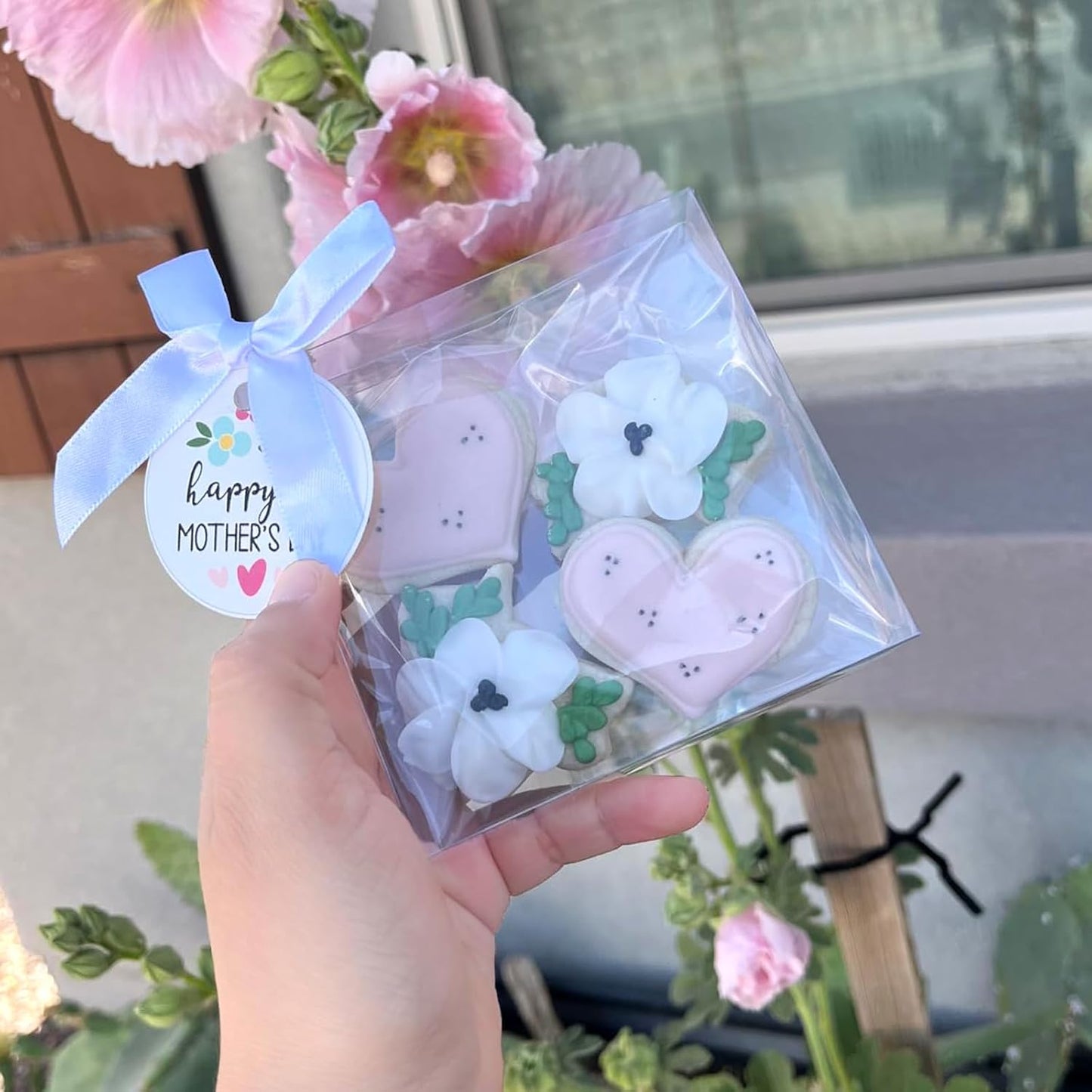 100Pcs Plastic Clear Single Treat Boxes with Full Window - 4x4x1.2inch, Dessert Box for Macarons, Donuts, V1258-DP02-C-2985