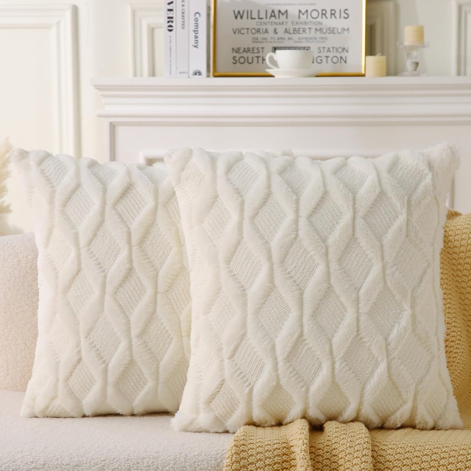 18" x 18" Decorative Throw Pillow with Inserts, Set of 2 Soft Faux Fur Throw Pillows, Square Boho Pillow for V1258-DP02-C-3198