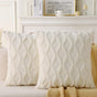 18" x 18" Decorative Throw Pillow with Inserts, Set of 2 Soft Faux Fur Throw Pillows, Square Boho Pillow for V1258-DP02-C-3198