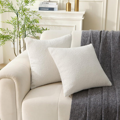 18" x 18" Decorative Throw Pillow with Inserts, Set of 2 Soft Textured Boucle Throw Pillows, Square Boho V1258-DP02-C-3206