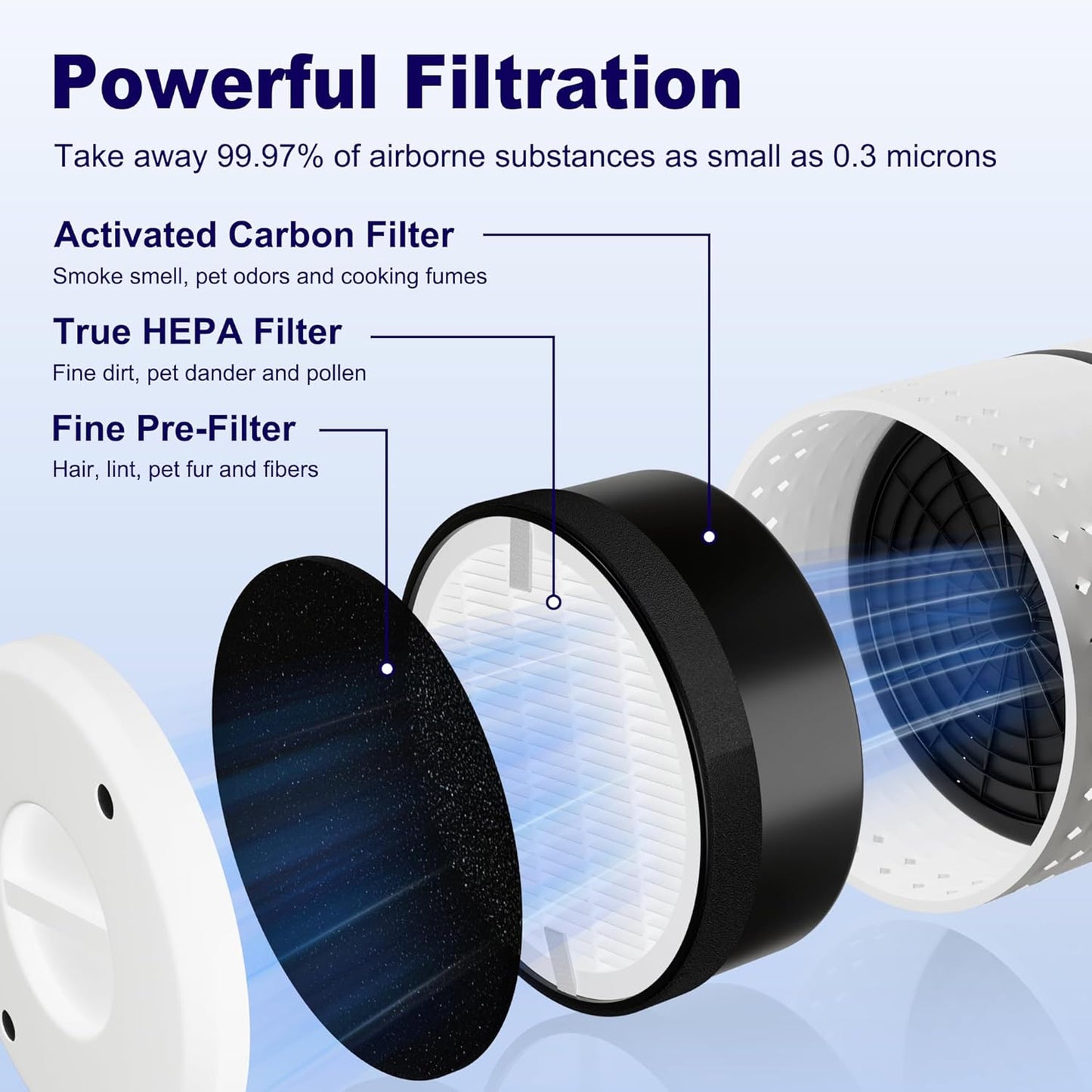 LV-H132 Replacement Filter Compatible with LEVOIT LV-H132 Air Puifier, 3-in-1 H13 Grade True HEPA V1258-DP02-C-606