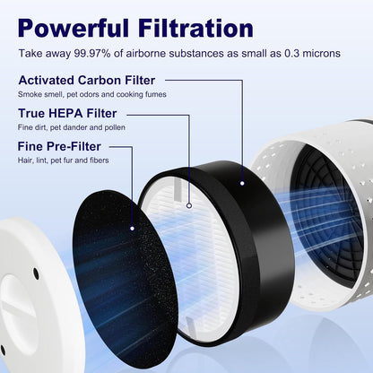 LV-H132 Replacement Filter Compatible with LEVOIT LV-H132 Air Puifier, 3-in-1 H13 Grade True HEPA V1258-DP02-C-606