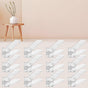 Shoe Slots Organizer for Closet,12PACK Shoe Stacker Shoe Rack Organizer for Closet Space Saver Storage Shoe V1258-DP02-C-624