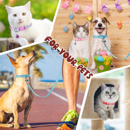 Amylove 48 Pcs Dog Collar and Leash Set, Polypropylene Adjustable Puppy Collars for Medium Dogs Small Pet V1258-DP02-C-751