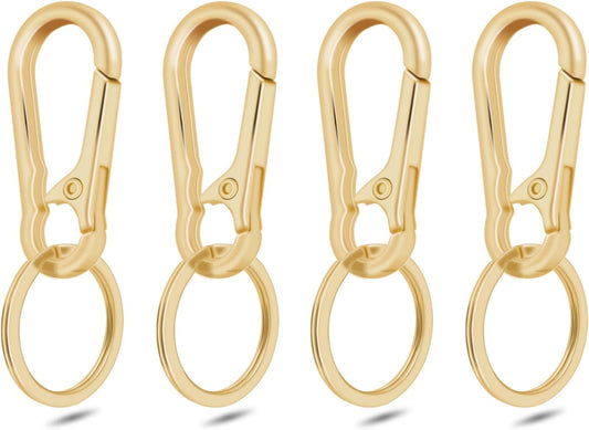 4Pack Small Keychain Rings, Metal Key Carabiner Clip, Mini EDC Key Ring Chain Holder Organizer for Purse V1258-DP02-D-3