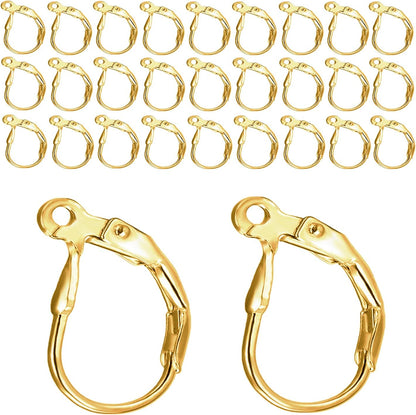 Leverback Earring Hooks 60pcs French Ear Wire Lever Back Earwire for Jewelry Making Crafting (Gold) V1258-DP02-D-304