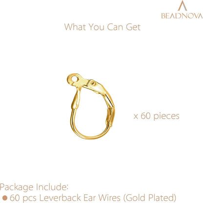 Leverback Earring Hooks 60pcs French Ear Wire Lever Back Earwire for Jewelry Making Crafting (Gold) V1258-DP02-D-304