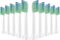 10 Pack Toothbrh Replacement Heads Compatible with 7am2m AM101/AM105 Sonic Electric Toothbrh, 10 Count V1258-DP02-E-346
