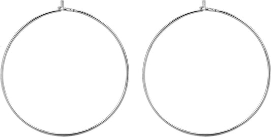 925 Sterling Silver Hoop Ear Wires Hoop Earrings Wires Earwires for Jewelry Making Earrings Making DIY (2pcs, V1258-DP02-E-446