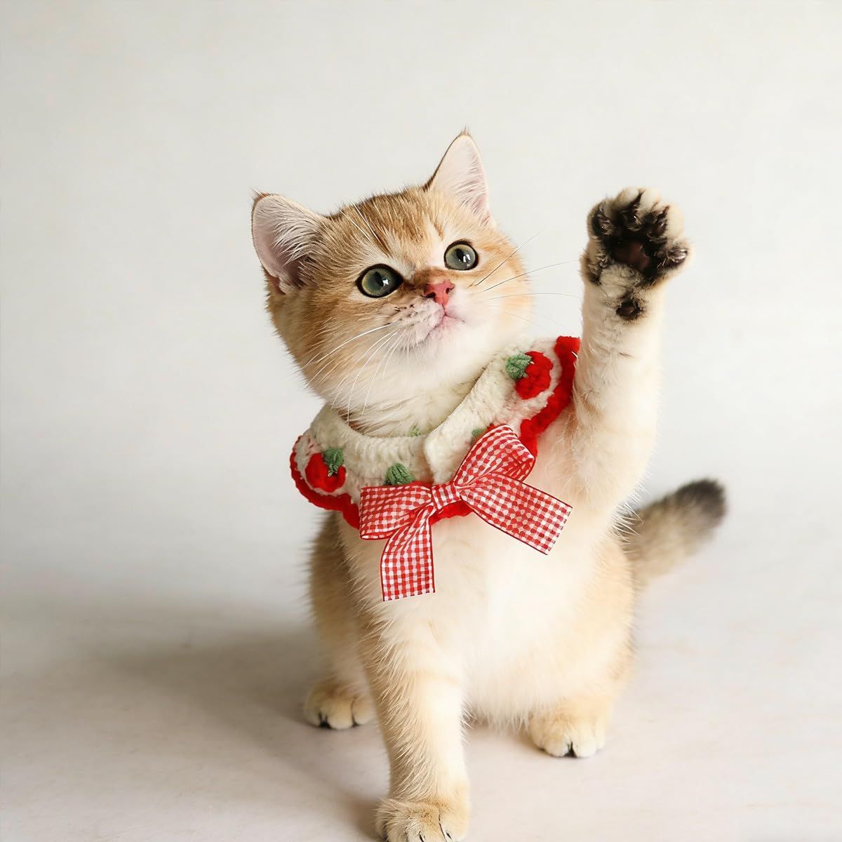 2 Pcs Cat Knitted Collar Cute Strawberry Pattern Scarf Adjustable Kitten Bib Bow with Soft Ruffled Edges Pet V1258-DP02-E-660