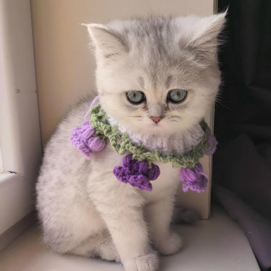 Cat Dog Bandana, Cute Handmade Knitted Yarn Flowers Pet Collar Neck Warmer for Small Medium Dog, Puppy Photo V1258-DP02-E-690