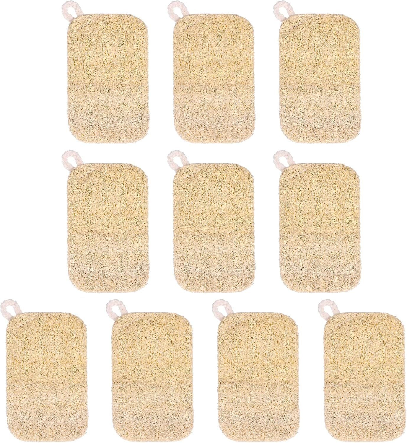 10 PCS Natural Sponges for Dishes, Loofah Dish Sponge for Kitchen Compostable Natural Loofah Sponges V1258-DP02-E-732