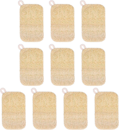 10 PCS Natural Sponges for Dishes, Loofah Dish Sponge for Kitchen Compostable Natural Loofah Sponges V1258-DP02-E-732