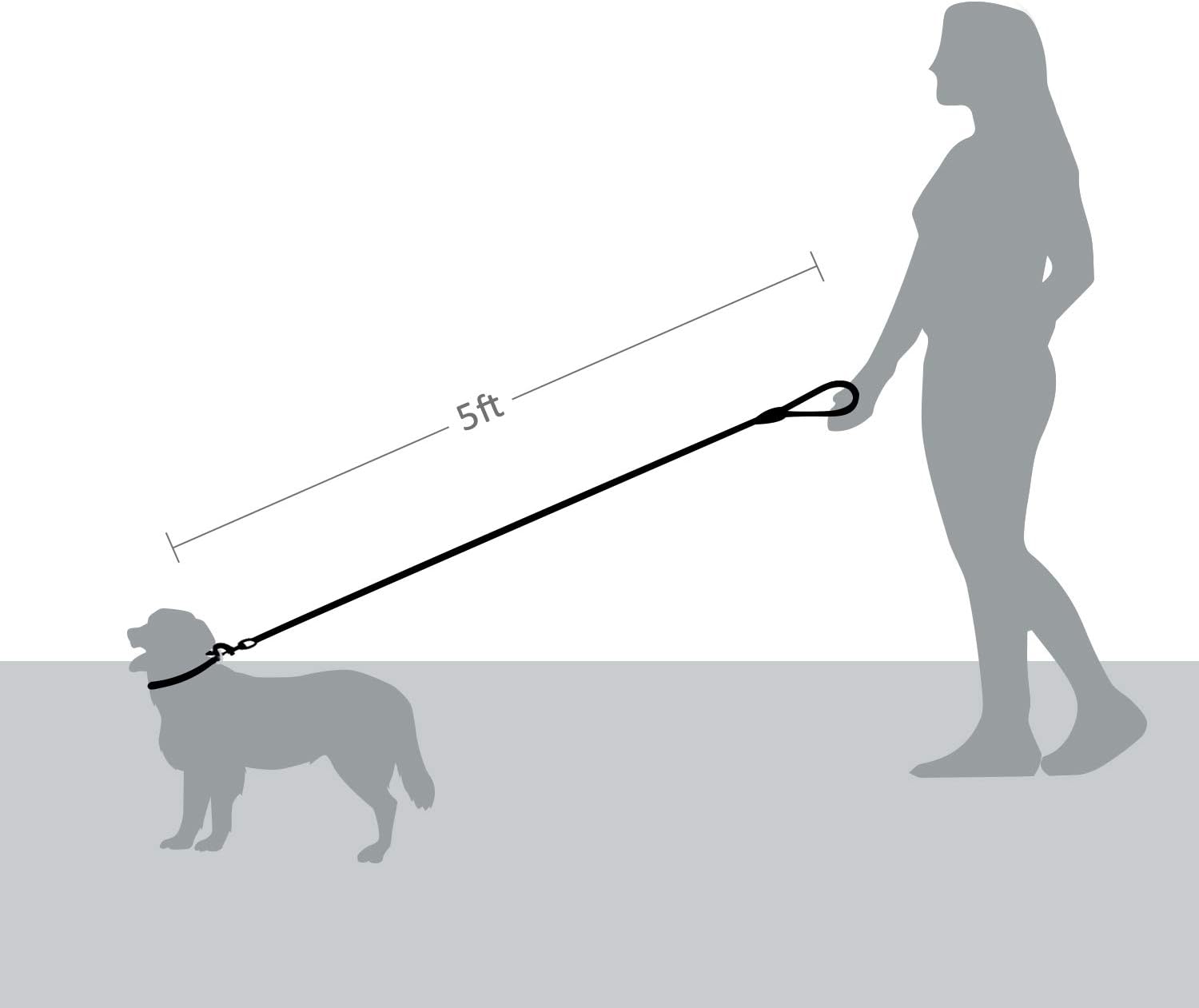 5 FT Strong Dog Leash with Comfortable Foam Handle and Highly Reflective Threads with Metal Clasp and Rubber V1258-DP02-F-545