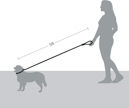 5 FT Strong Dog Leash with Comfortable Foam Handle and Highly Reflective Threads with Metal Clasp and Rubber V1258-DP02-F-545
