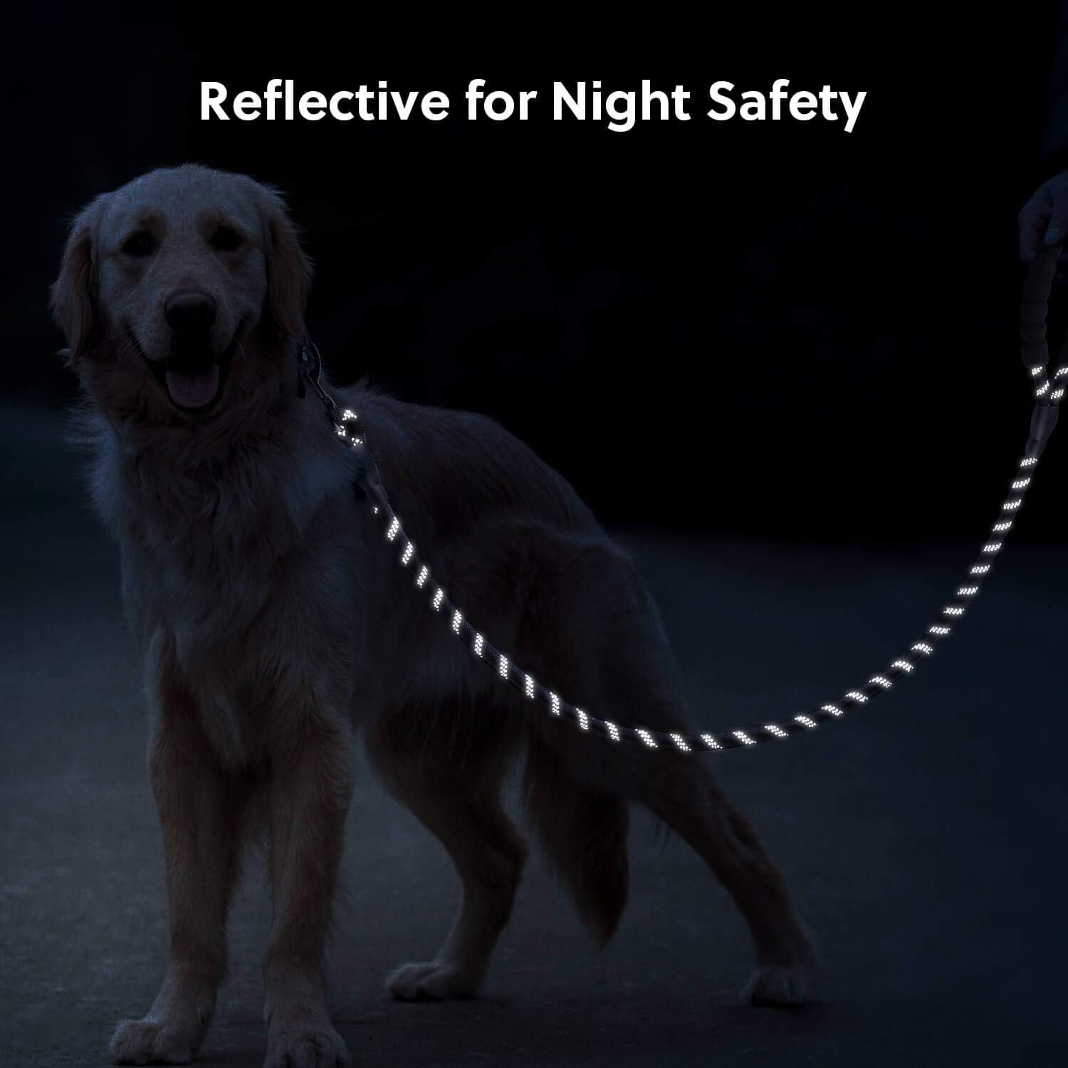 5 FT Strong Dog Leash with Comfortable Foam Handle and Highly Reflective Threads with Metal Clasp and Rubber V1258-DP02-F-545