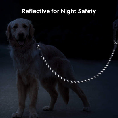 5 FT Strong Dog Leash with Comfortable Foam Handle and Highly Reflective Threads with Metal Clasp and Rubber V1258-DP02-F-545
