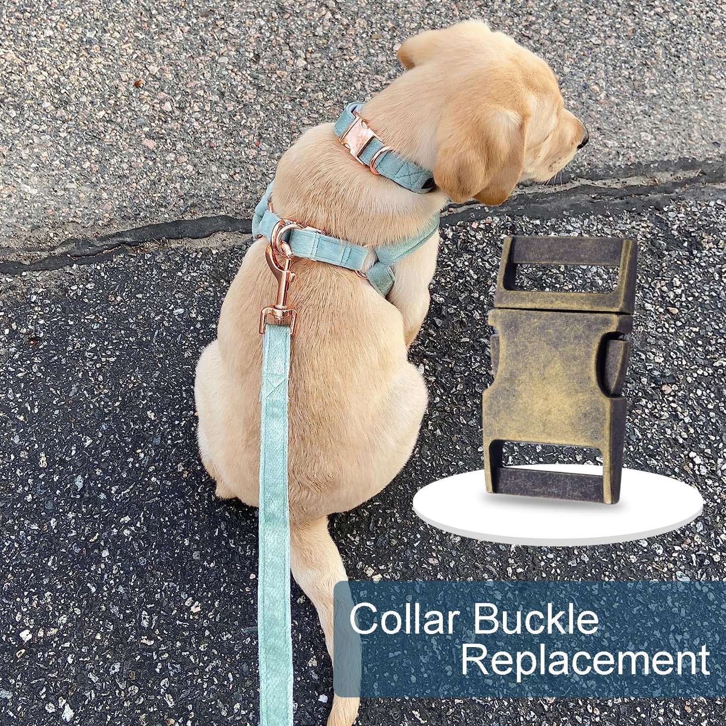 CooBigo 10 Pack Bulk Dog Collar Hardware Metal Buckle 1 inch Webbing Backpack Buckle Replacement Backpack V1258-DP02-F-59