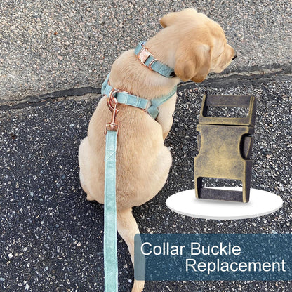 CooBigo 10 Pack Bulk Dog Collar Hardware Metal Buckle 1 inch Webbing Backpack Buckle Replacement Backpack V1258-DP02-F-59